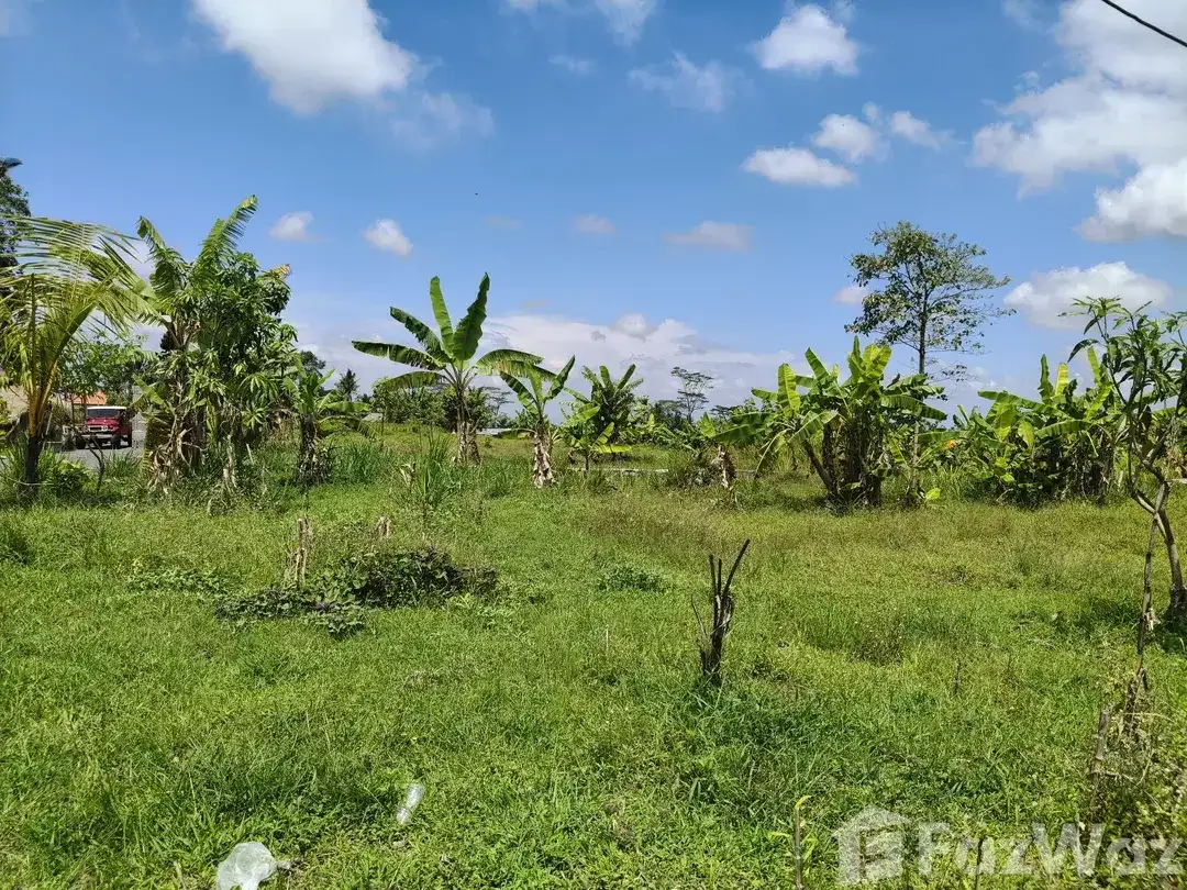 Land for sale in Tegallalang, Bali - Image 7 of 9