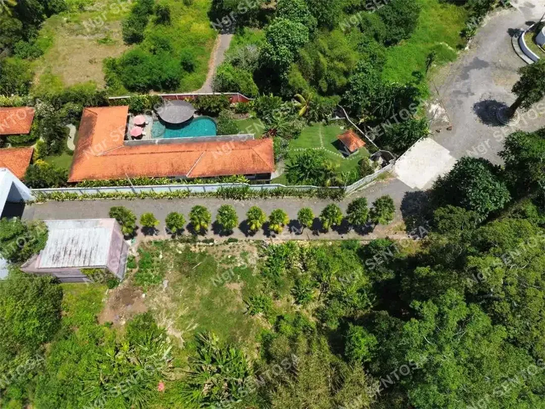 Tanah Sewa Kedungu For Lease - Image 3 of 10