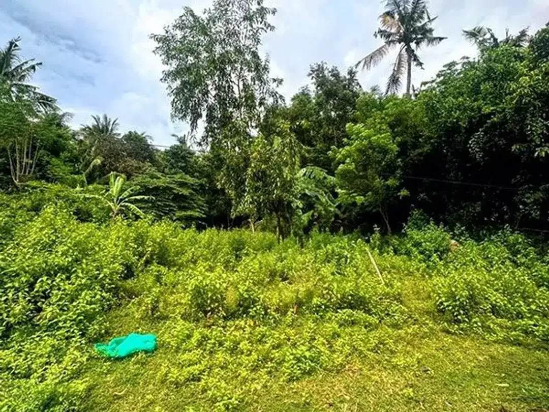 [AMS-018.DKA]  Tanah Premium Dijual Dekat Virgin Beach Bukit Asah Karangasem – Akses Langsung Pantai - Image 7 of 10