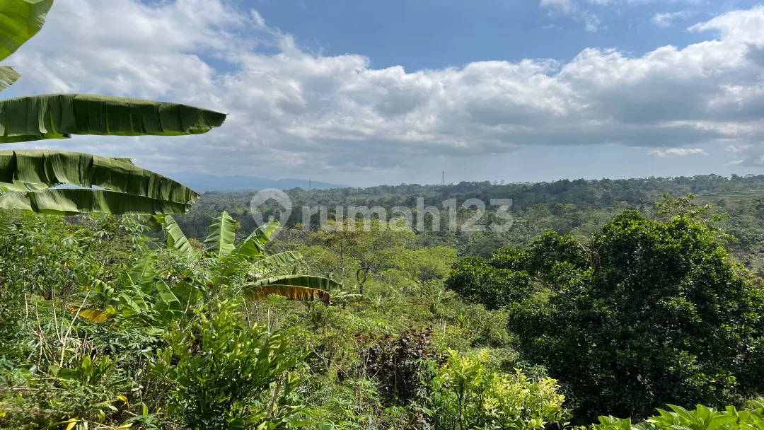 Tanah Buah View Gunung Dan Lembah Indah Di Tabanan Bali. - Image 3 of 4