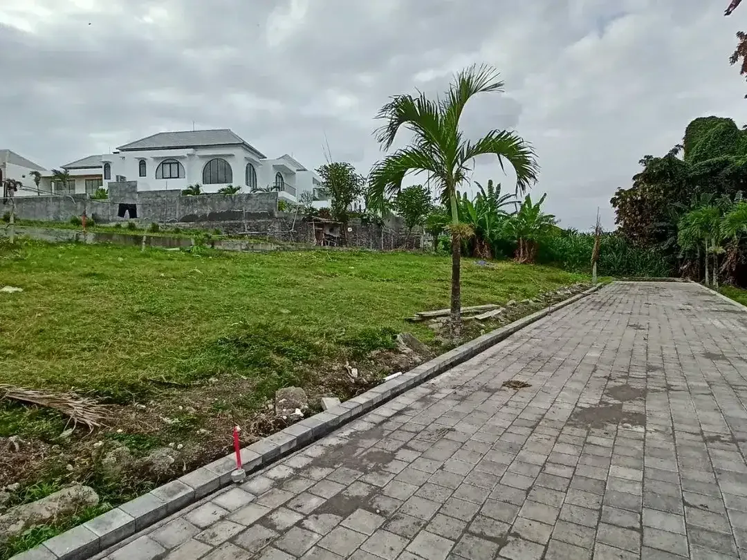 Freehold - Premium Land Available for Sale In Canggu - Image 5 of 7