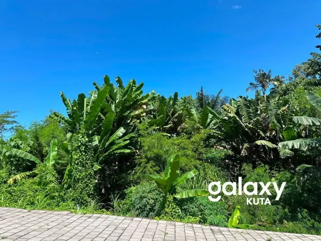 DIJUAL TANAH HOOK JUNGLE VIEW DEKAT KANTO LAMPO DI BENG GIANYAR - Image 9 of 10