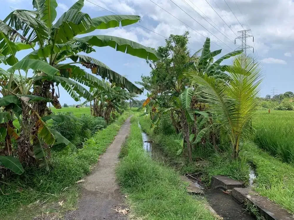 TANAH VIEW SAWAH DAN SUNGAI DI TABANAN - Image 7 of 10