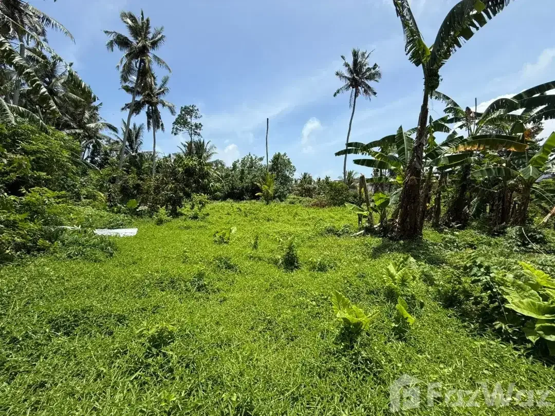 Land for sale in Kedungu, Bali - Image 10 of 10