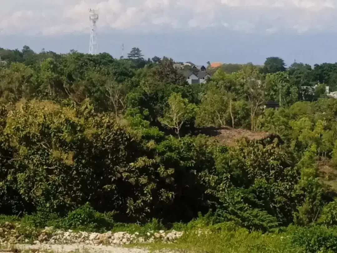 TANAH KOSONG SIAP BANGUN DI JL BELIMBING SARI PECATU DEKAT SAVAYA BALI - Image 9 of 10
