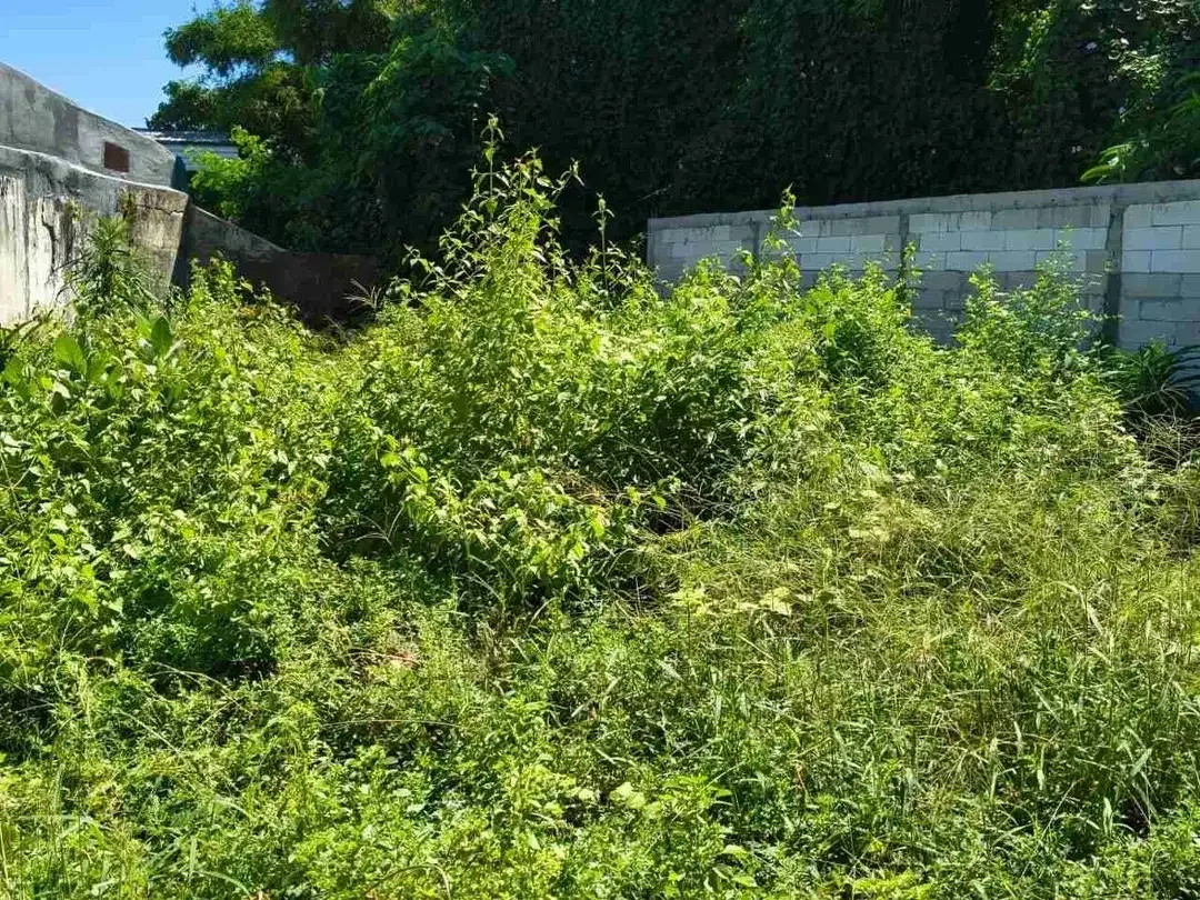 DIJUAL TANAH BERLOKASI TAMAN GRIYA
JIMBARAN, BALI - Image 5 of 5