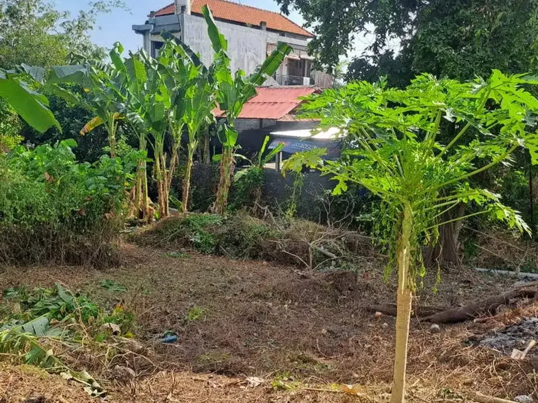 RARE OPPORTUNITY IN SEMINYAK - Image 1 of 10