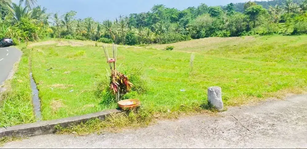 TANAH STRATEGIS VIEW SAWAH TABANAN - Image 3 of 10