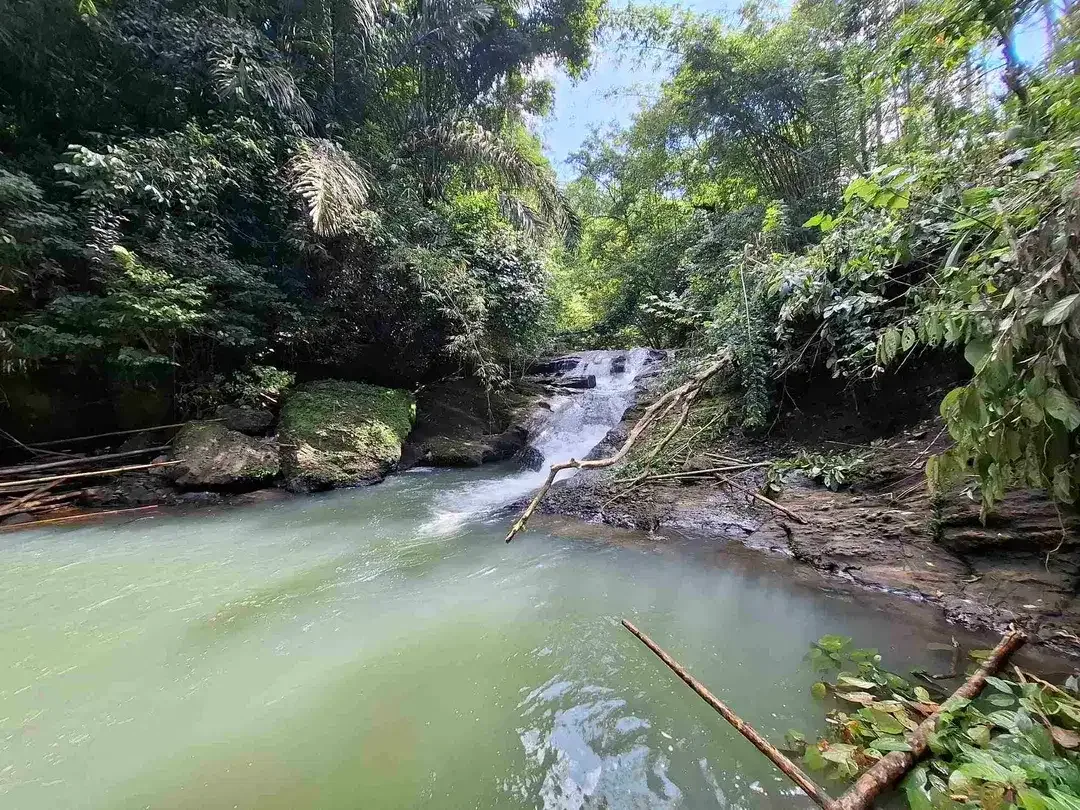 tanah strategis berisi air terjun yang sangat unik di tabanan harga murah - Image 2 of 10