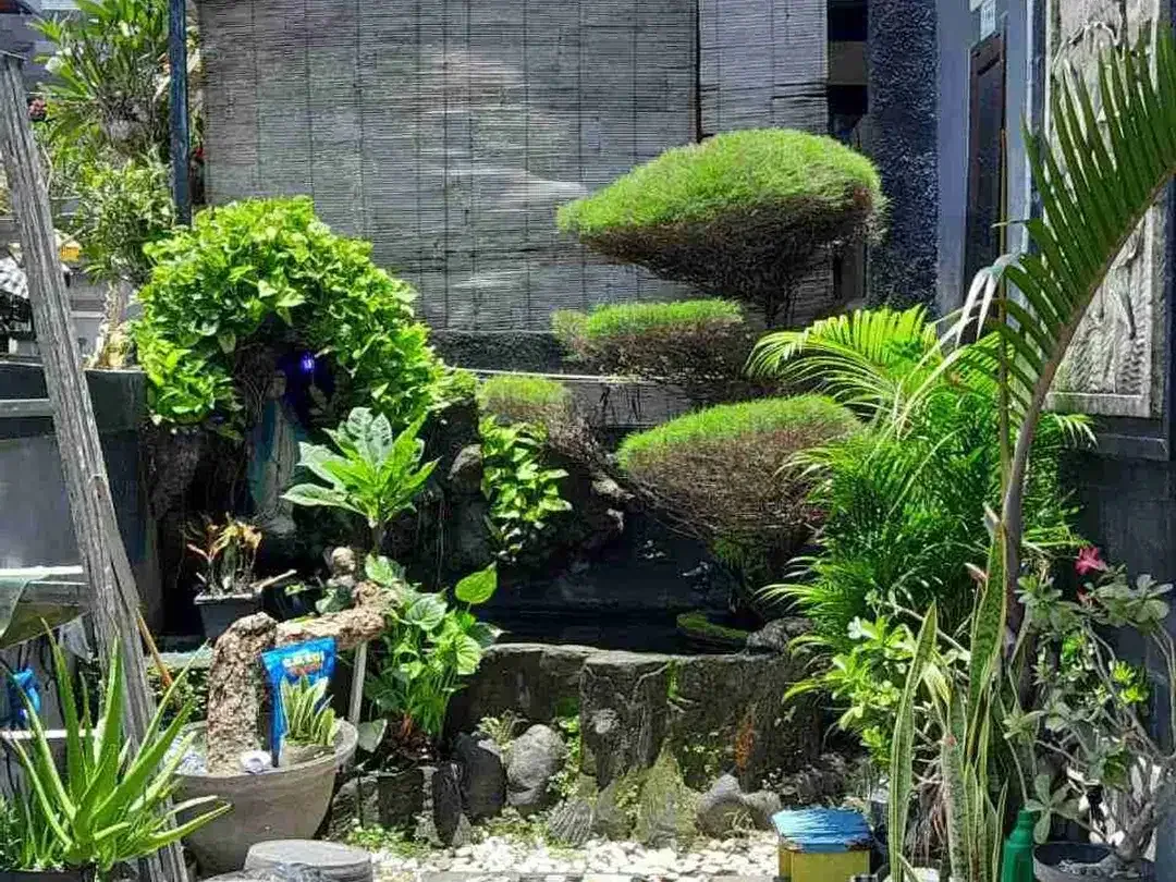 RUMAH BUDUK MINIMALIS LANTAI I KONDISI BAGUS TERAWAT DENGAN 3 KAMAR TIDUR - Image 3 of 7