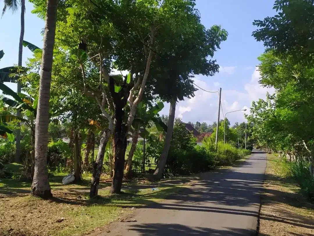 Dijual Tanah Hook Position & Tourism Zone, Los Pantai di Pebuahan – Investasi Pariwisata Bali Barat - Image 1 of 10
