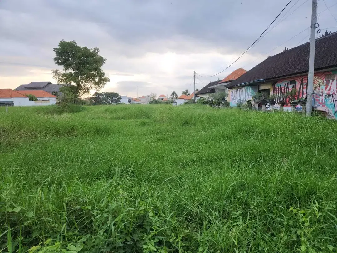 Tanah Komersial Disewakan di Padang Linjong Canggu - Image 2 of 7