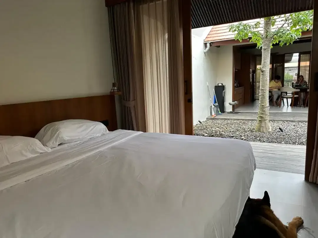 Leasehold - Modern Fully Furnished Leasehold Villa in Kutat Lestari, Sanur - Image 5 of 10