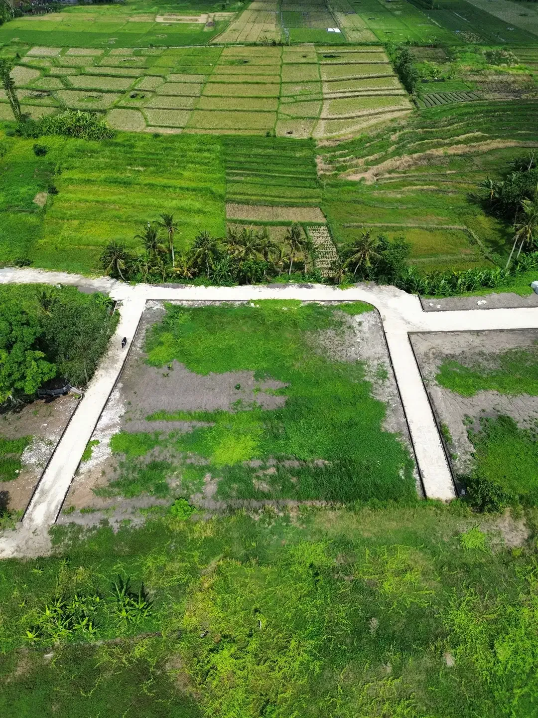 Tanah dijual Pantai Kedungu Tanah Lot Bali full view - Image 9 of 10