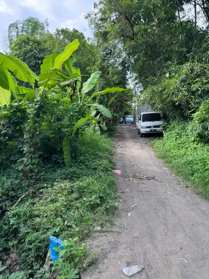 BUC 15mnit to canggu, 6,7 are - Image 1 of 6