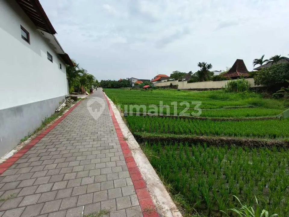 Villa Modern dengan Pemandangan Sawah di Canggu - Image 4 of 4