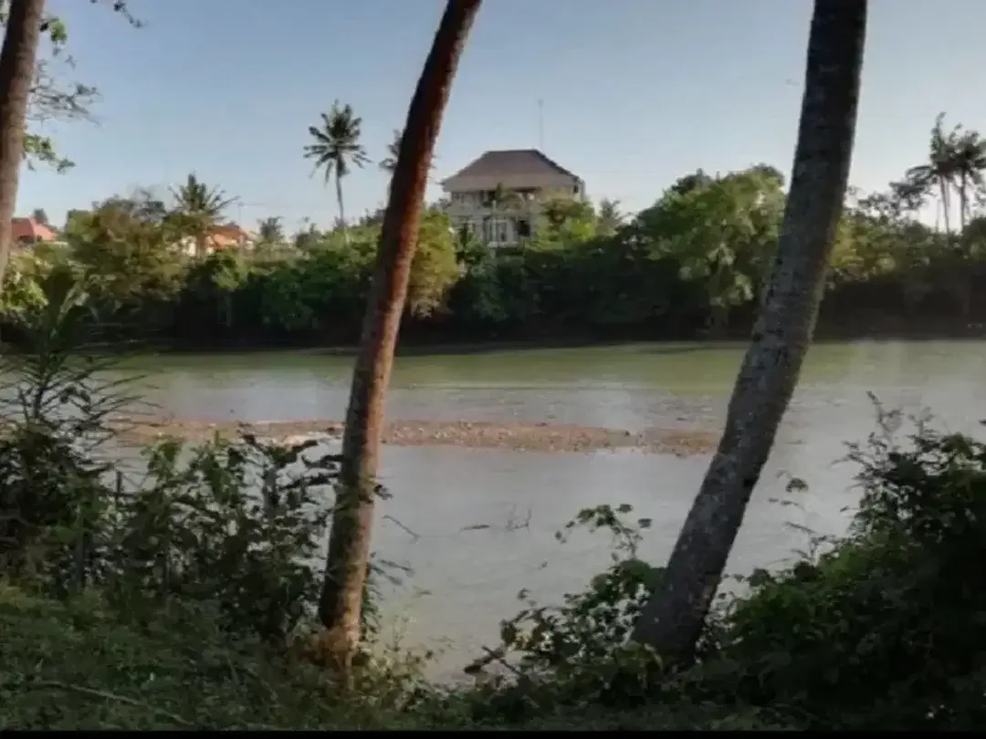Tanah View Muara Sungai Di Pasut Tabanan Bali - Image 1 of 3