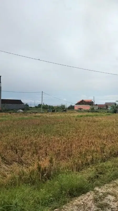 Tanah Sewa View Pantai Bisa di Ambil Sesuai Permintaan di Ketewel - Image 3 of 4