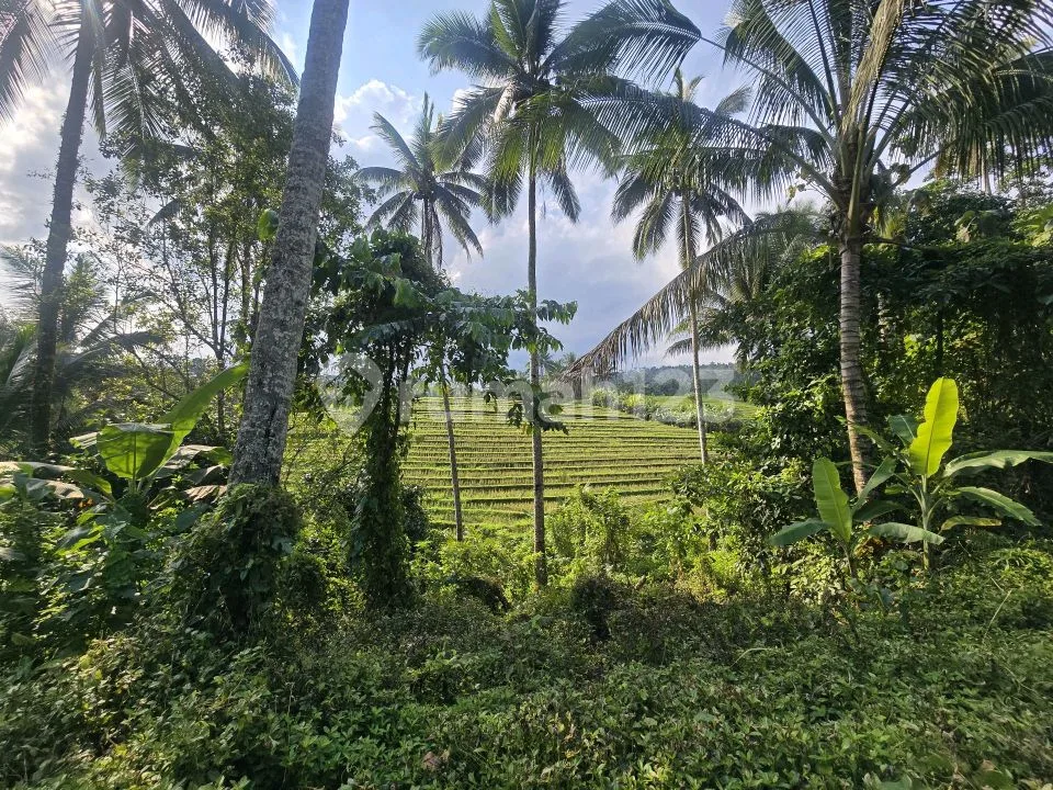 Butuh Uang Cepat Tanah Dijual Murah dengan Wiew Sawah di Tababan Bali - Image 4 of 4