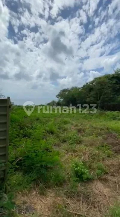 Los Tebing Zona Pink Padang Padang, Badung - Bali - Image 2 of 4