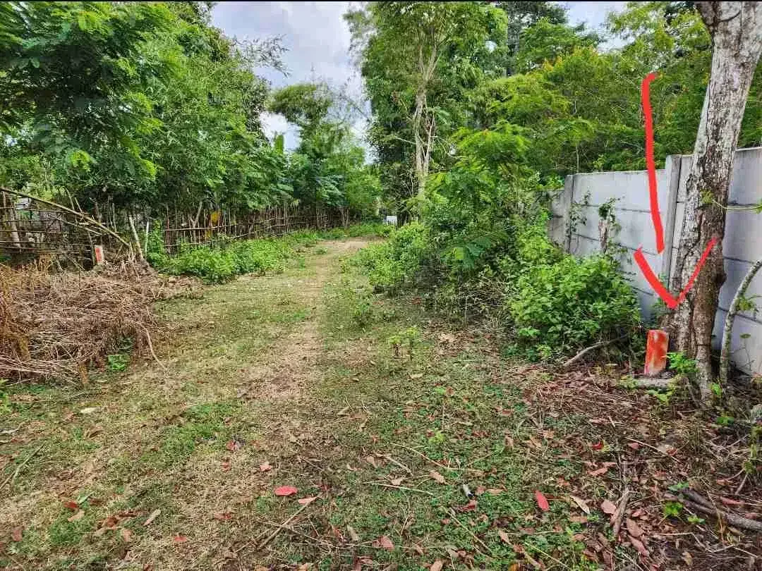 DIJUAL TANAH LUAS 2,34 HEKTAR DI KAWASAN AYANA JIMBARAN KUTA SELATAN BALI - Image 4 of 10