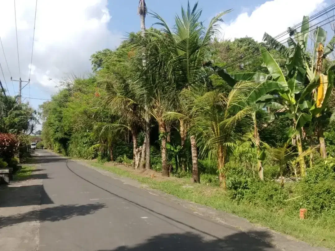 Strategic Land in Desa Wisata Kaba-Kaba For Sale - Image 3 of 10