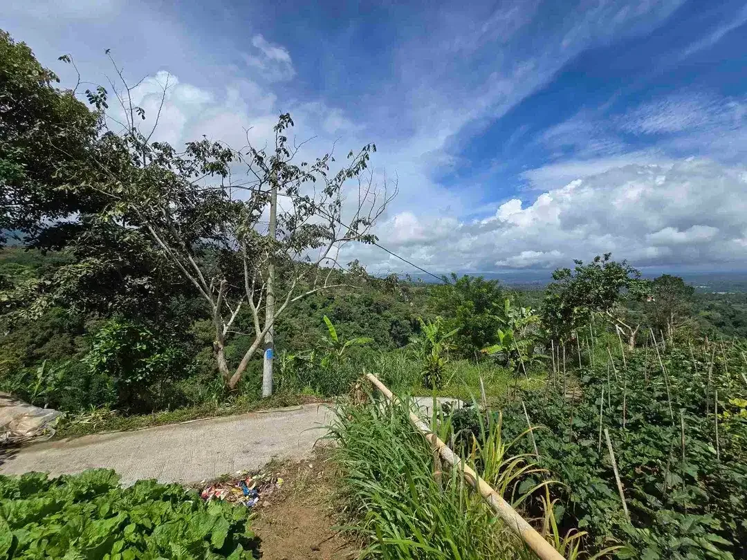 Dijual tanah view istimewa exotik lembah dan gunung di bedugul bali - Image 6 of 10