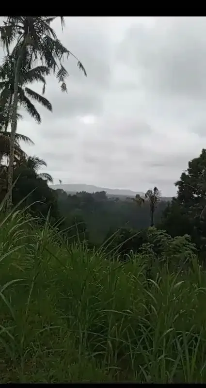 Land 1,2ha for Sale above Telaga Waja River Karangasem Bali - Image 3 of 10