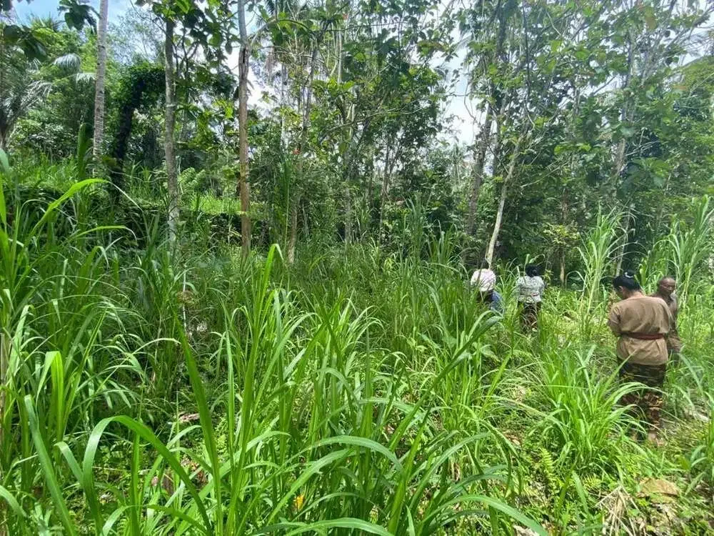 DIJUAL TANAH VIEW LEMBAH SUNGAI DI GIANYAR - Image 7 of 9