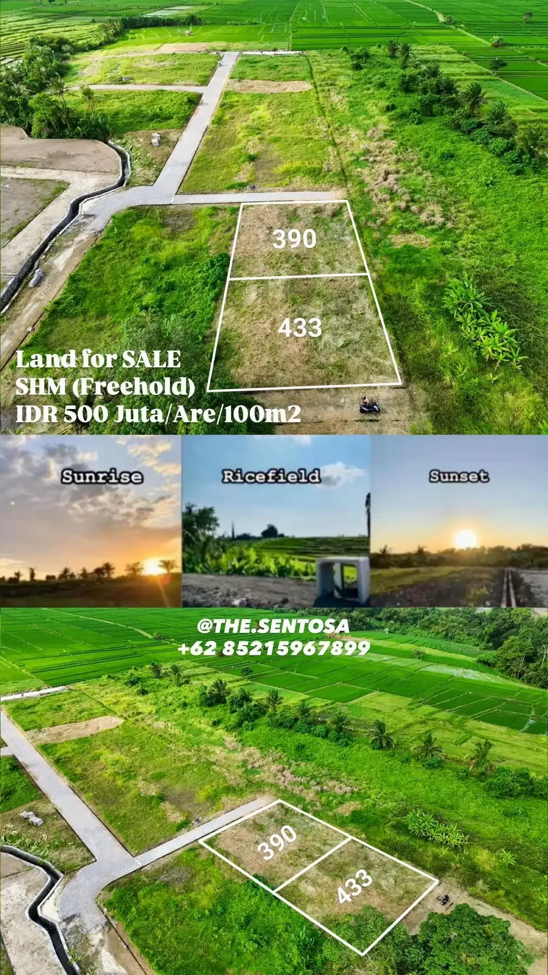 KEDUNGU LAND FOR SALE NEAR NUANU LUNA BEACH CLUB - Image 4 of 10