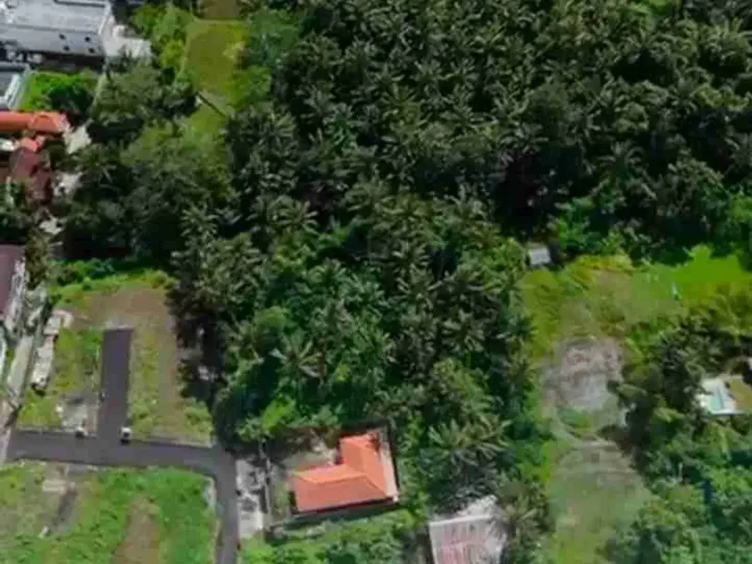 Kavling Strategis Kawasan Villa Mewah Ubud - Image 4 of 9