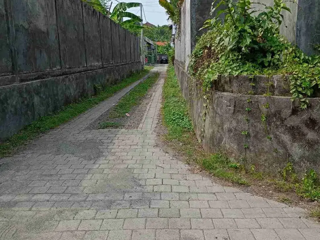 Tanah Premium Padang Galak Sanur Dekat Pantai dan Sekolah - Image 8 of 8