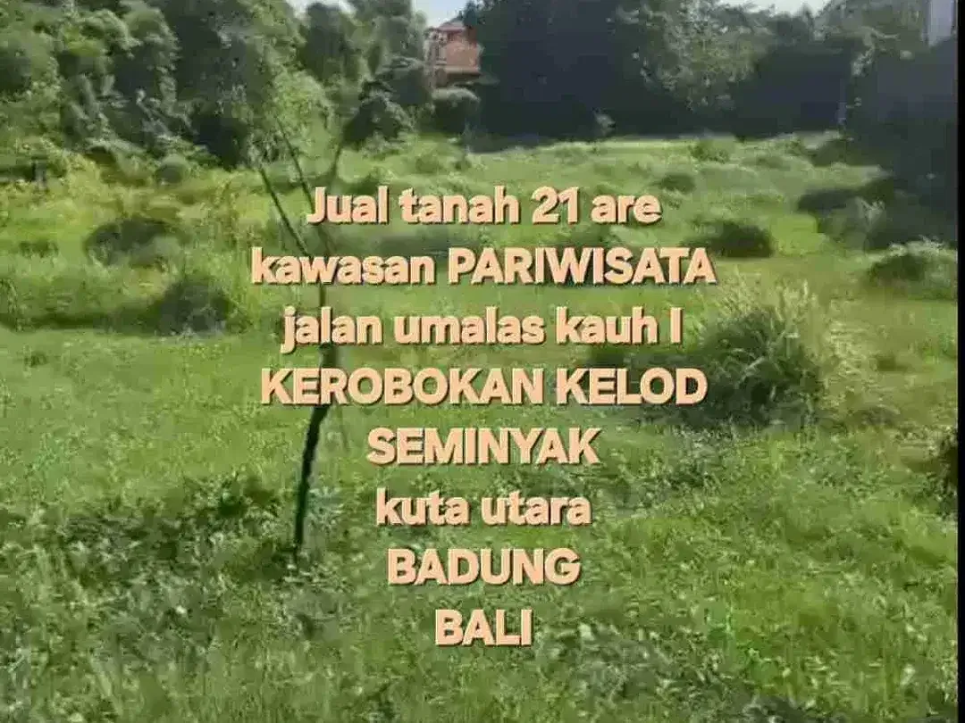 jual tanah umalas 21are area villa - Image 1 of 9
