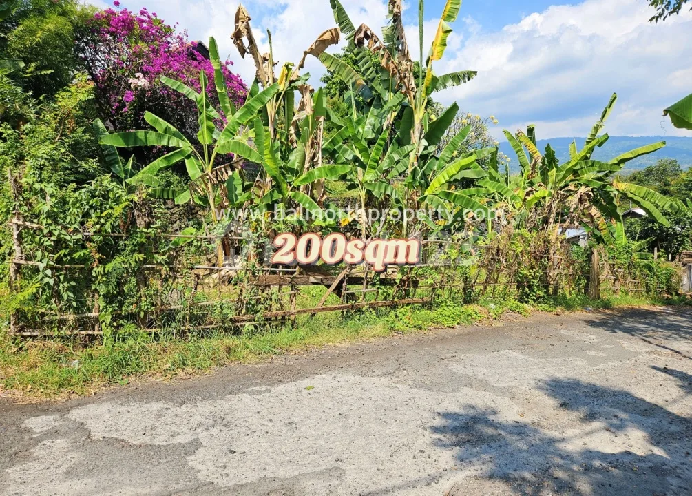 Dijual Tanah SHM 200 MÂ² di Lovina, Bali Utara - Siap Bangun - Image 2 of 4