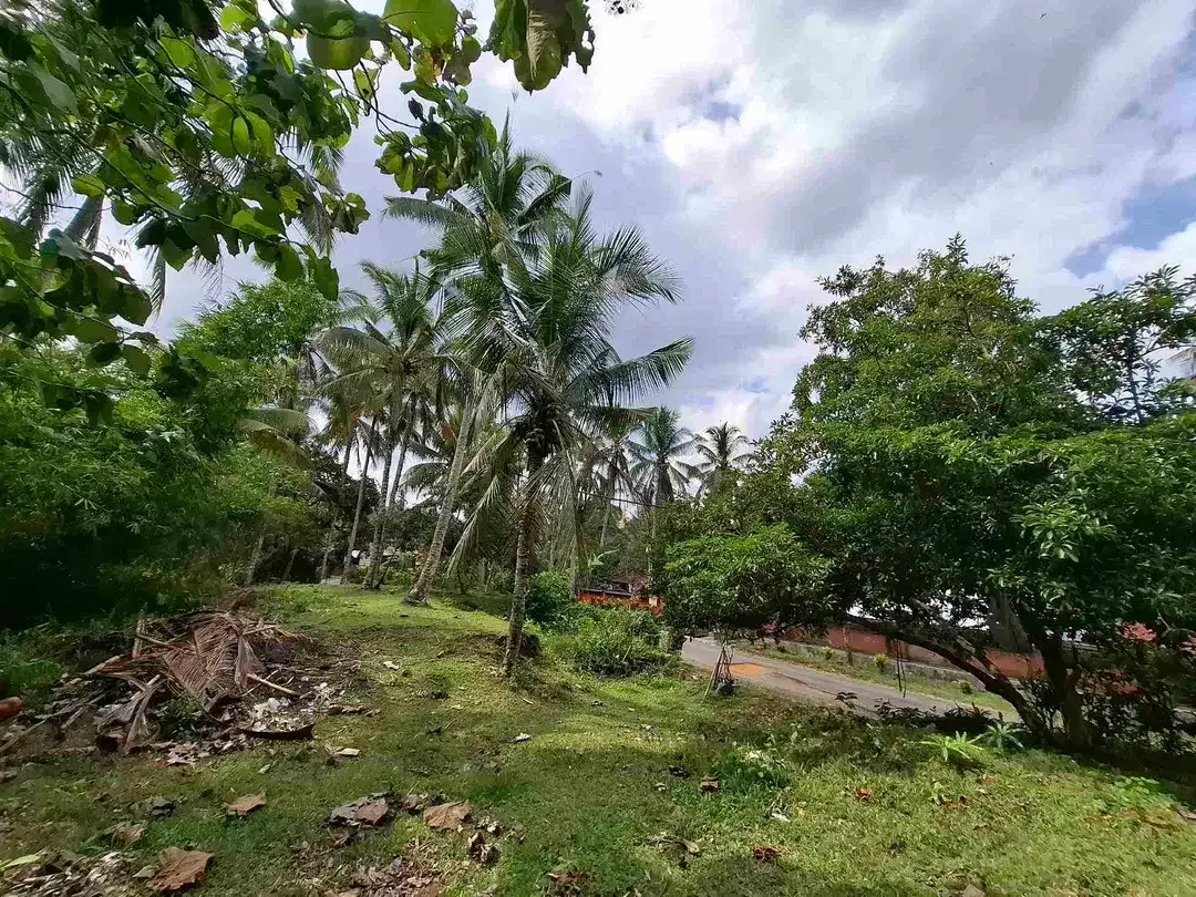 tanah kebun luasan kecil los sungai zona kuning atau zona pemukiman penduduk sudah daerah wisata di tabanan - Image 3 of 9