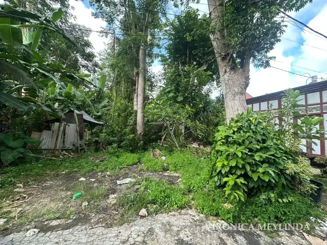 TANAH 5 ARE DIJUAL – AREA PECATU. - Image 5 of 6