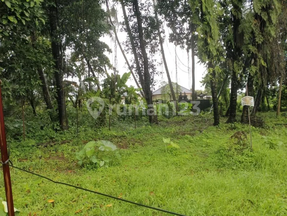 Tanah Kavling Zona Kuning Strategis Dkt Jembatan Nyuh Kuning Ubud - Image 1 of 4
