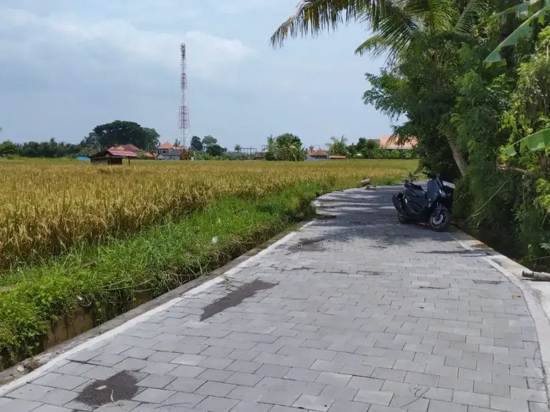 BUC 6 are Tanah Sawah di Singapadu kaler Gianyar Bali - Image 4 of 8