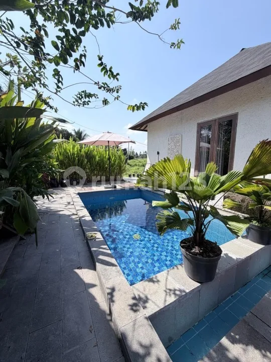 For Rent Villa Rice Field View 10 Menutes From Mongkey Forest Center Ubud Bali Indonesia Strategis 40 Menit Dari Canggu Nyanyi Beach Canggu 5 Menutes From Rusters Kafe Price 18.000.000 - Image 3 of 4