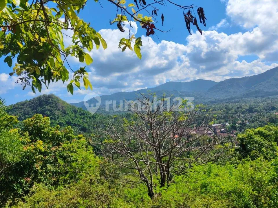 For Sale 3 Hektar Land Close To Alila Resort And Pecan View - Image 2 of 4