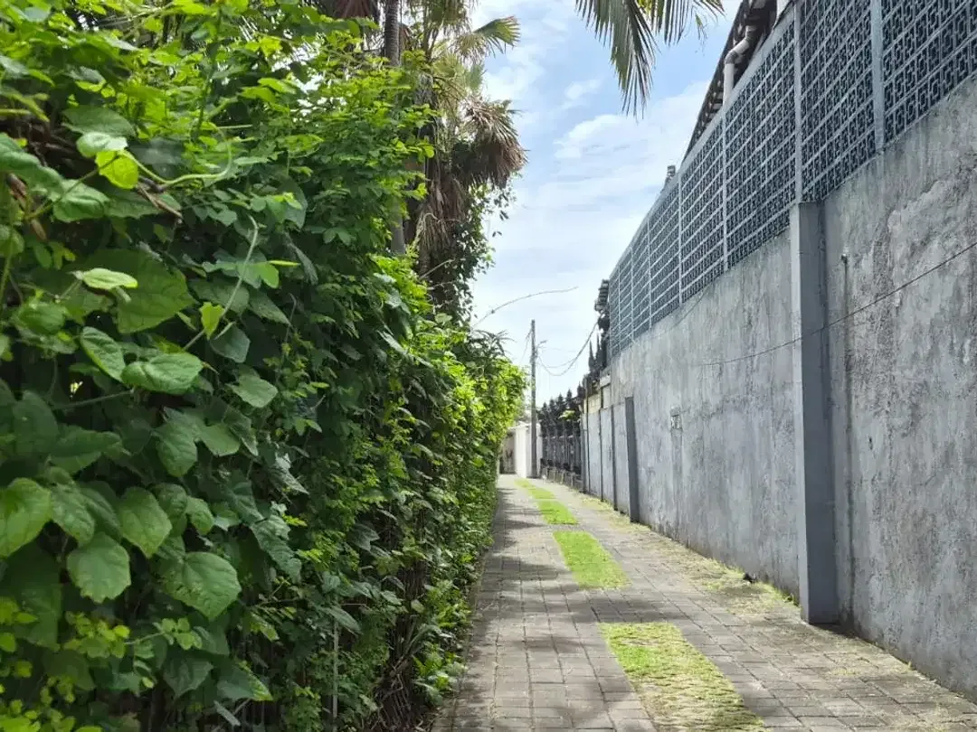 Leasehold - Rare Ultra-Prime Beachfront Land in Batu Bolong - 900 sqm Golden Investment Opportunity, Canggu, Bali - Image 8 of 10