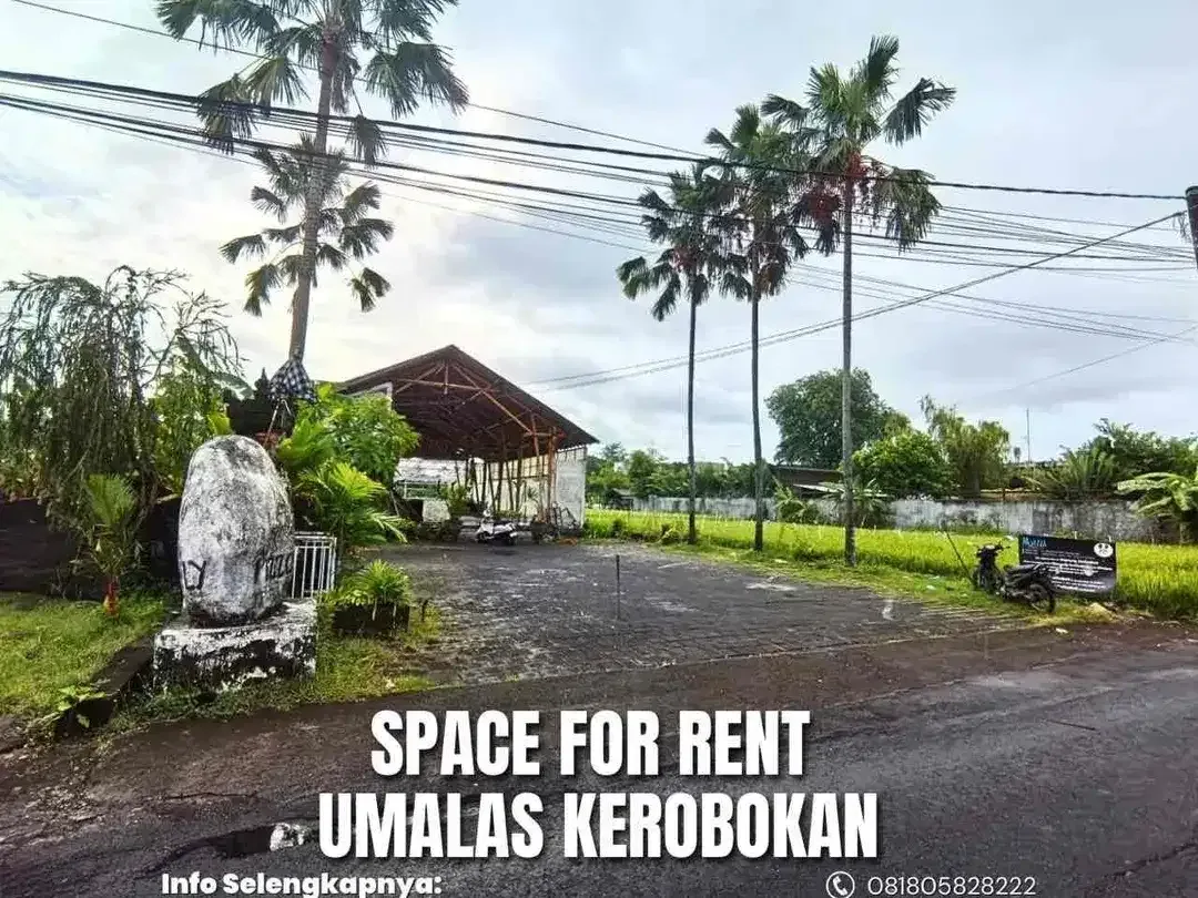 Dikontrakkan Tanah 5 Are Berisi Bangunan Di Umalas Deretan Cafe Nook - Image 1 of 9