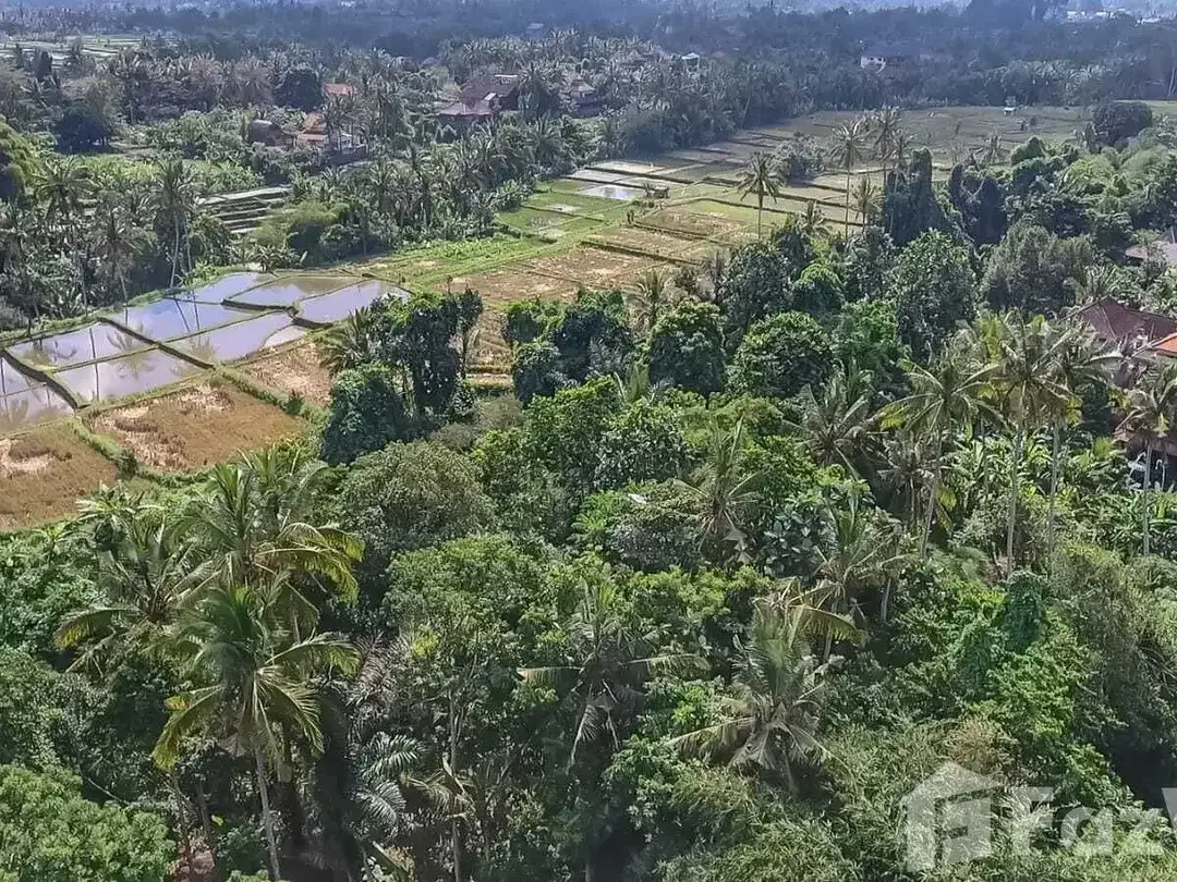Land for sale in Ubud, Bali - Image 9 of 10