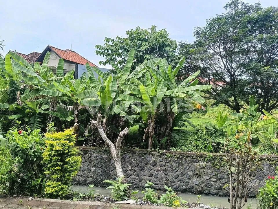 Tanah di Dekat Kawasan Pariwisata Seminyak - Image 4 of 4