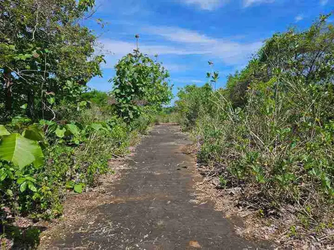dijual tanah 2,05 hektar IDR 500 juta per are  kawasan pantai balangan jimbaran badung bali - Image 7 of 10