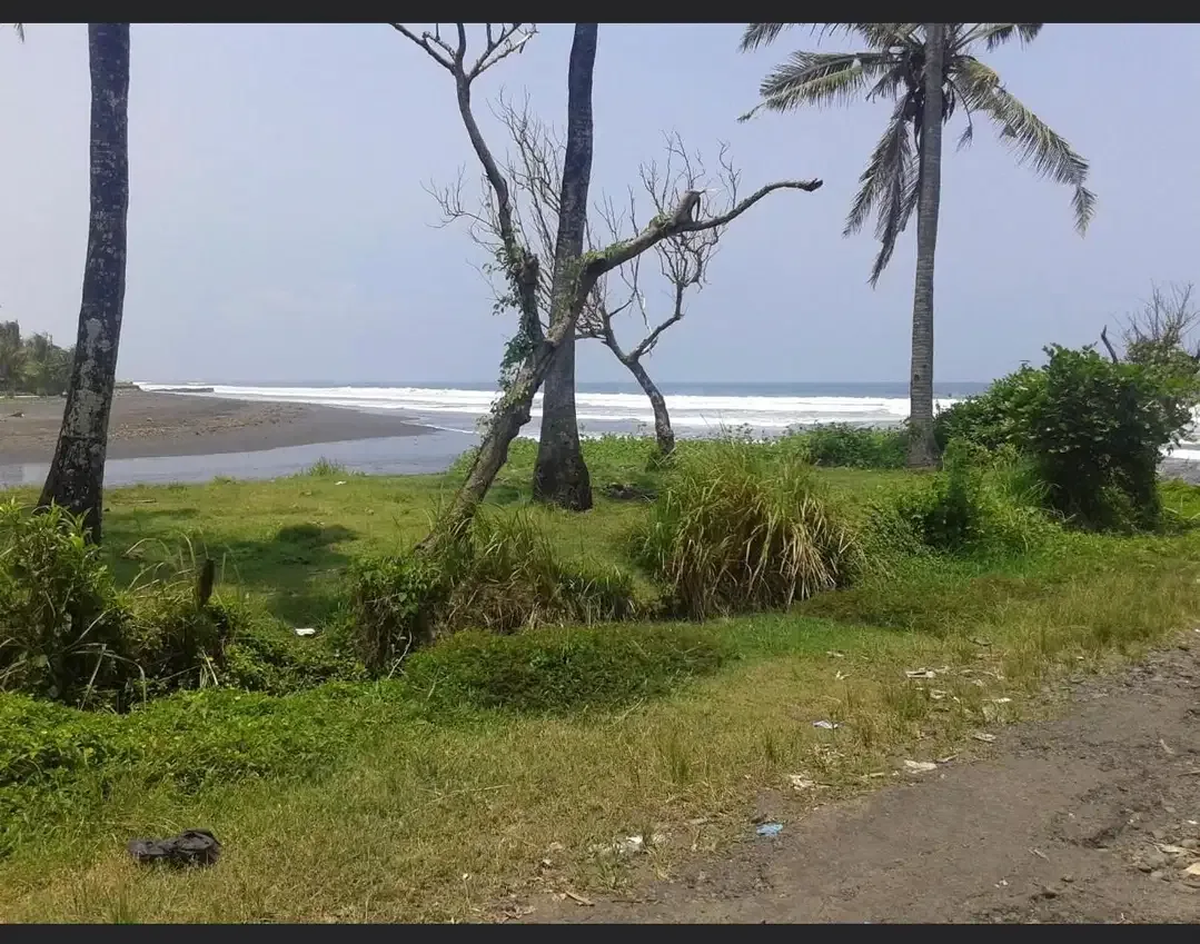 DIJUAL TANAH LOS PANTAI BERABAN DAN SUNGAI DI TABANAN - Image 2 of 10