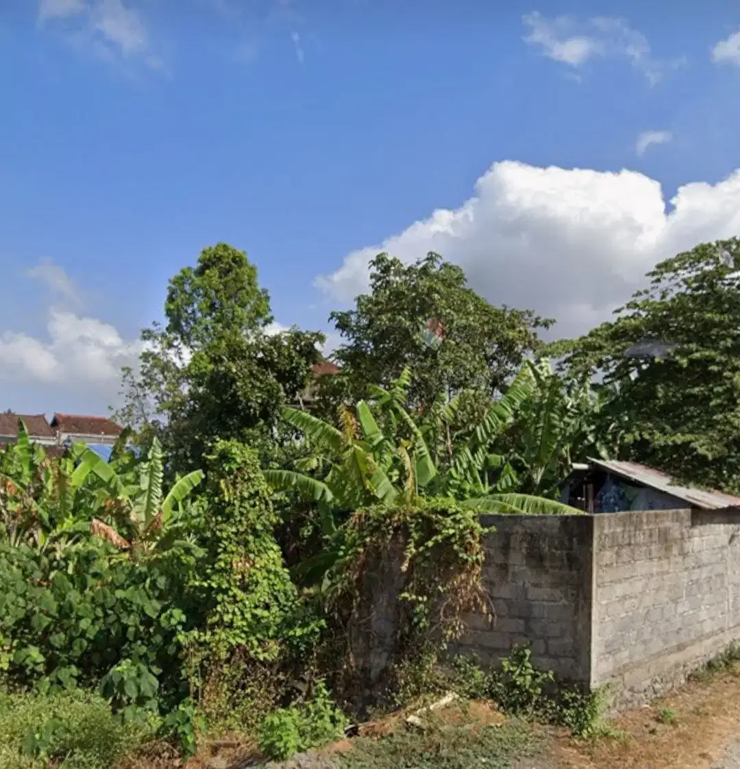 Tanah Zona Kuning di Buana Raya Denpasar Barat dekat Mahendradatta - Image 2 of 3