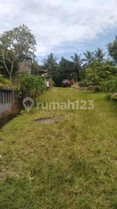 Dijual Tanah Murah 1,65 Are Dekat Bali Butterfly Park Tabanan & Tol Gilimanuk Mengwi - Image 1 of 1