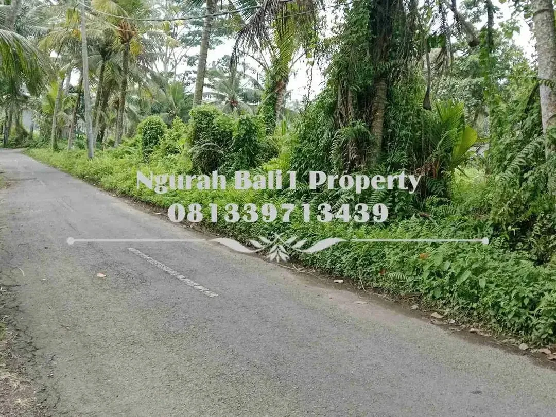 Murah Dijual Tanah Luas 10 Are Kawasan Villa di Ubud Pejeng - Image 4 of 5