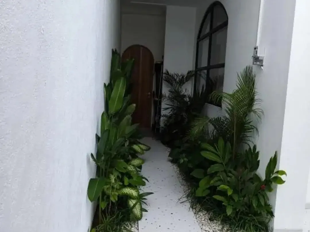 Luxury Private Villa Fully Furnished 3 Br Di Batu Bolong Canggu - Image 9 of 10